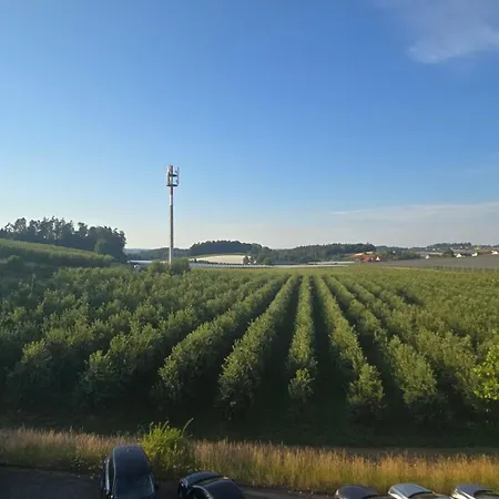 Innjoy! Фридрихсхафен